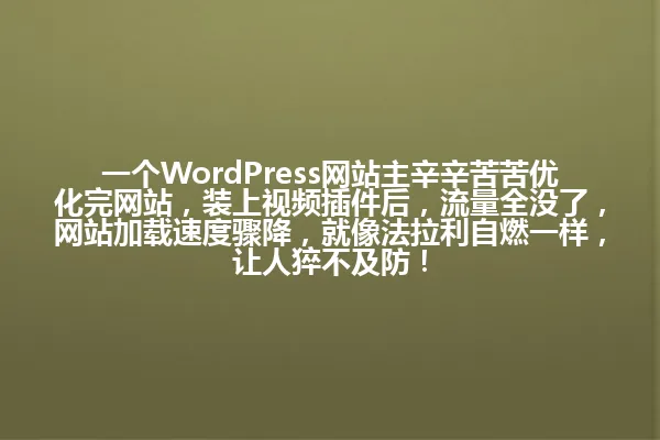 一个WordPress网站主辛辛苦苦优化完网站,装上视频插件后,流量全没了,网站加载速度骤降,就像法拉利自燃一样,让人猝不及防! 一