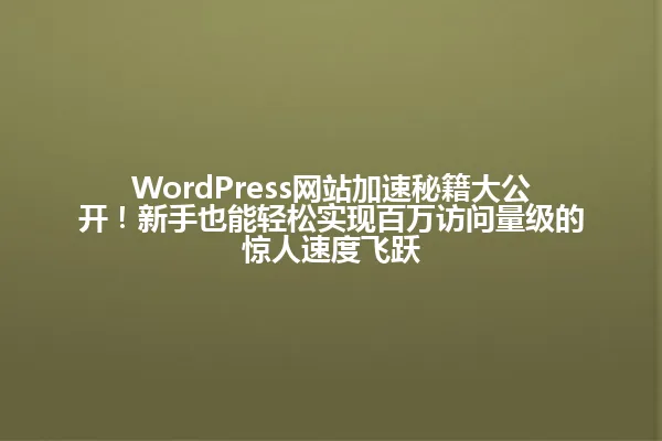 WordPress网站加速秘籍大公开!新手也能轻松实现百万访问量级的惊人速度飞跃 一