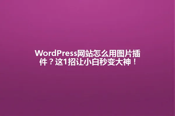 WordPress网站怎么用图片插件?这1招让小白秒变大神! 一