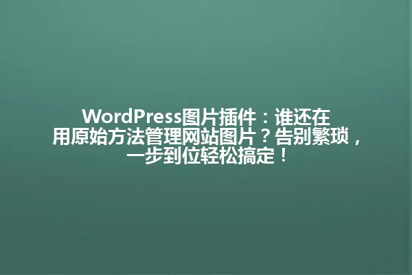 WordPress图片插件:谁还在用原始方法管理网站图片?告别繁琐,一步到位轻松搞定! 一