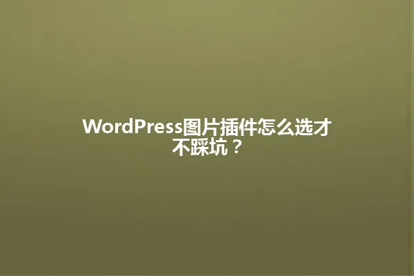WordPress图片插件怎么选才不踩坑? 一