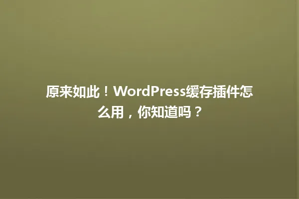 原来如此!WordPress缓存插件怎么用,你知道吗? 一