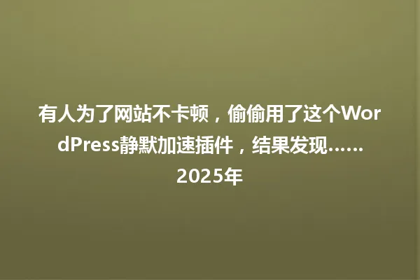 有人为了网站不卡顿，偷偷用了这个WordPress静默加速插件，结果发现……2025年 一