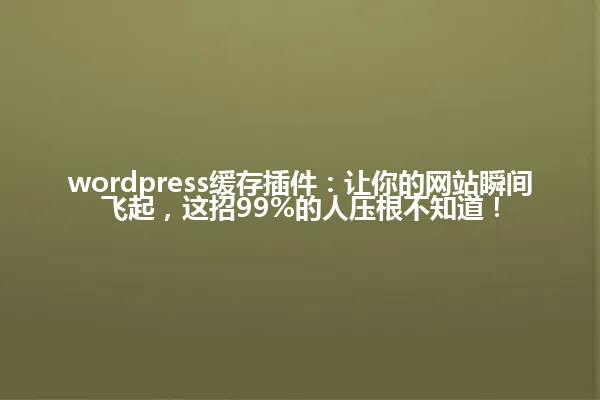 wordpress缓存插件:让你的网站瞬间飞起,这招99%的人压根不知道! 一