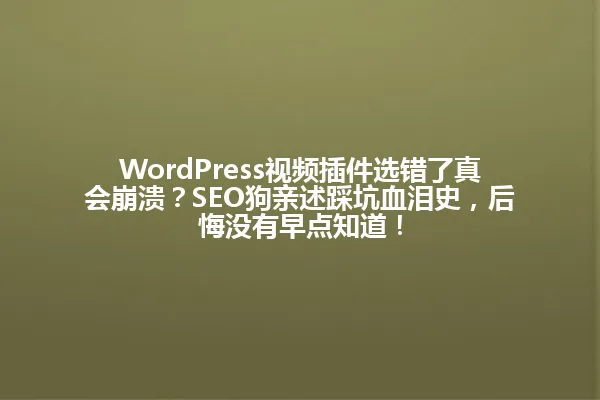 WordPress视频插件选错了真会崩溃?SEO狗亲述踩坑血泪史,后悔没有早点知道! 一