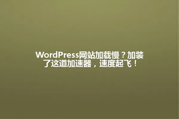 WordPress网站加载慢？加装了这道加速器，速度起飞！ 一