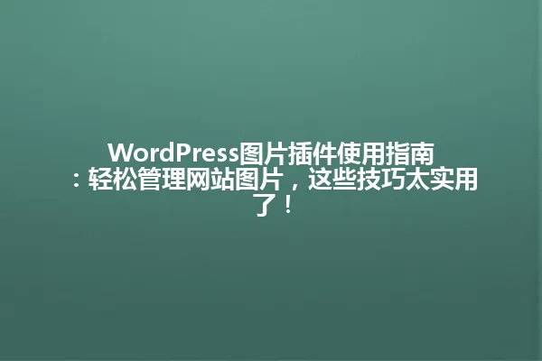 WordPress图片插件使用指南：轻松管理网站图片，这些技巧太实用了！ 一