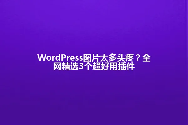 WordPress图片太多头疼?全网精选3个超好用插件 一