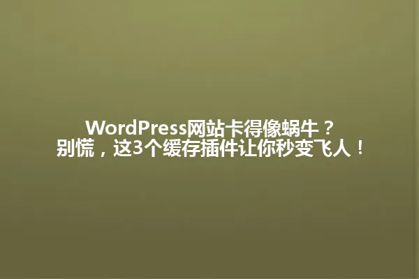 WordPress网站卡得像蜗牛?别慌,这3个缓存插件让你秒变飞人! 一