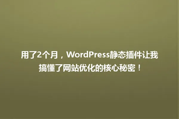 用了2个月，WordPress静态插件让我搞懂了网站优化的核心秘密！ 一
