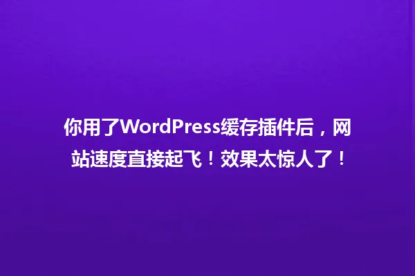 你用了WordPress缓存插件后,网站速度直接起飞!效果太惊人了! 一