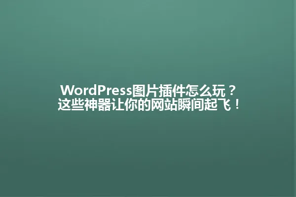 WordPress图片插件怎么玩?这些神器让你的网站瞬间起飞! 一