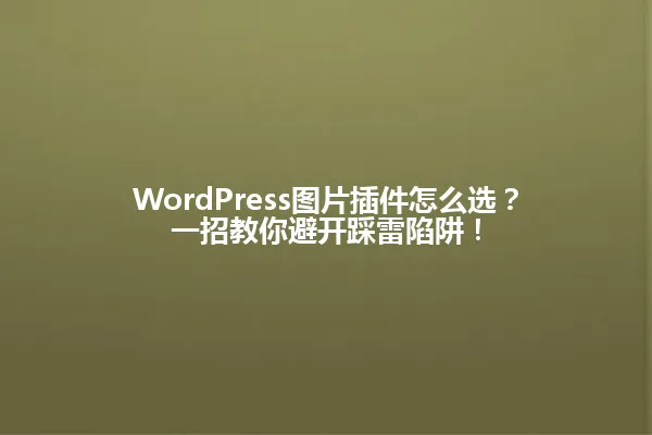 WordPress图片插件怎么选?一招教你避开踩雷陷阱! 一