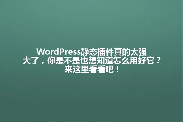 WordPress静态插件真的太强大了,你是不是也想知道怎么用好它?来这里看看吧! 一