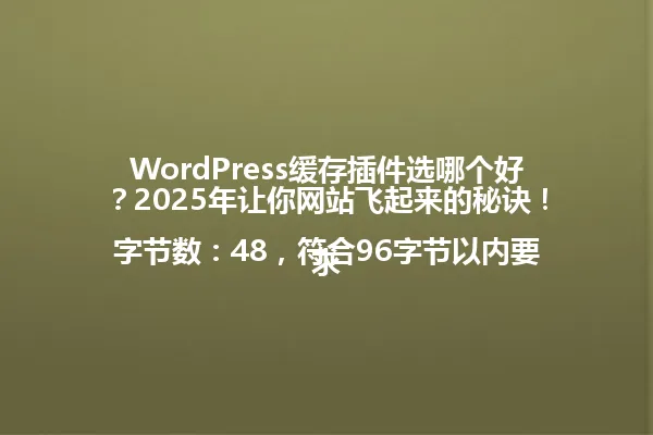 WordPress缓存插件选哪个好?2025年让你网站飞起来的秘诀!
字节数:48,符合96字节以内要求 一