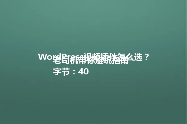 WordPress视频插件怎么选？老司机带你避坑指南  
字节：40 一