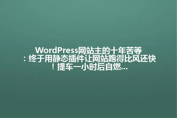 WordPress网站主的十年苦等:终于用静态插件让网站跑得比风还快!提车一小时后自燃... 一