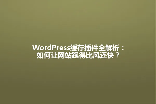 WordPress缓存插件全解析:如何让网站跑得比风还快? 一