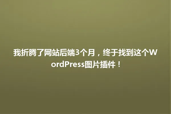 我折腾了网站后端3个月,终于找到这个WordPress图片插件! 一