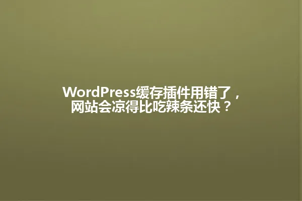 WordPress缓存插件用错了,网站会凉得比吃辣条还快? 一
