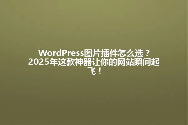 WordPress图片插件怎么选?2025年这款神器让你的网站瞬间起飞! 一