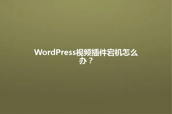 WordPress视频插件宕机怎么办? 一