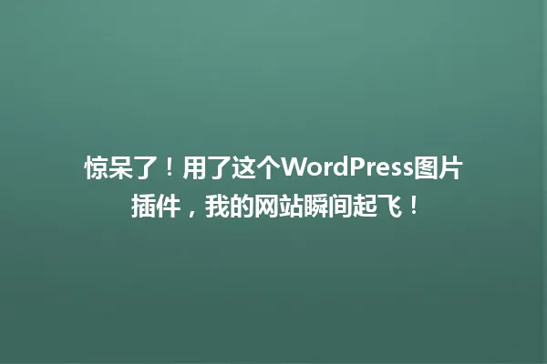 惊呆了！用了这个WordPress图片插件，我的网站瞬间起飞！ 一