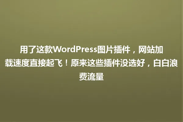 用了这款WordPress图片插件,网站加载速度直接起飞!原来这些插件没选好,白白浪费流量 一