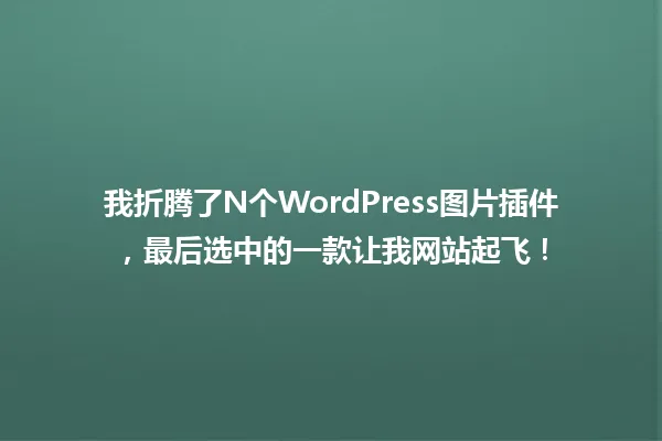 我折腾了N个WordPress图片插件，最后选中的一款让我网站起飞！ 一
