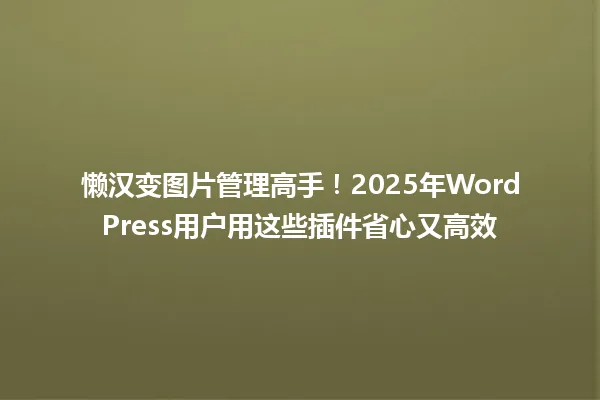 懒汉变图片管理高手!2025年WordPress用户用这些插件省心又高效 一