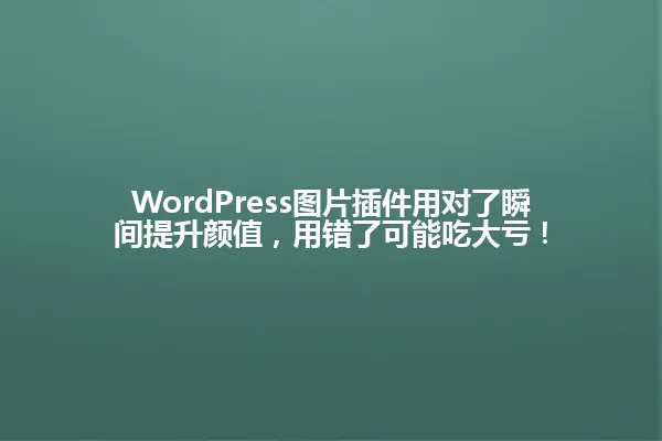 WordPress图片插件用对了瞬间提升颜值,用错了可能吃大亏! 一