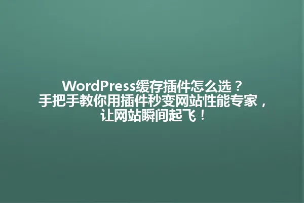 WordPress缓存插件怎么选?手把手教你用插件秒变网站性能专家,让网站瞬间起飞! 一