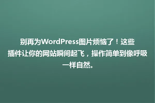 别再为WordPress图片烦恼了！这些插件让你的网站瞬间起飞，操作简单到像呼吸一样自然。 一