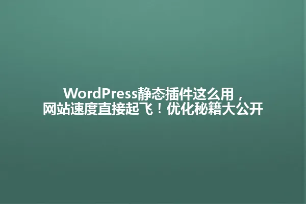 WordPress静态插件这么用，网站速度直接起飞！优化秘籍大公开 一
