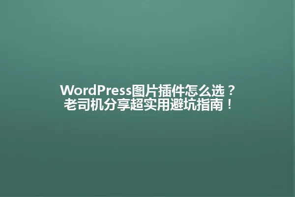 WordPress图片插件怎么选?老司机分享超实用避坑指南! 一