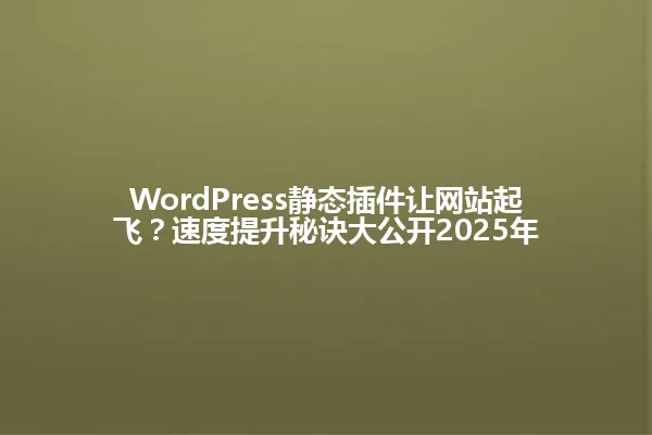 WordPress静态插件让网站起飞?速度提升秘诀大公开2025年 一