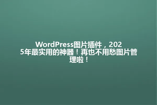 WordPress图片插件,2025年最实用的神器!再也不用愁图片管理啦! 一