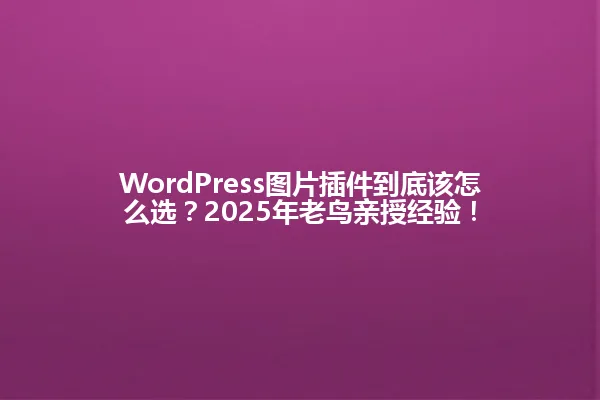 WordPress图片插件到底该怎么选?2025年老鸟亲授经验! 一