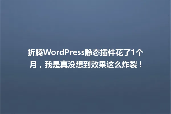 折腾WordPress静态插件花了1个月,我是真没想到效果这么炸裂! 一