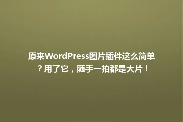 原来WordPress图片插件这么简单?用了它,随手一拍都是大片! 一