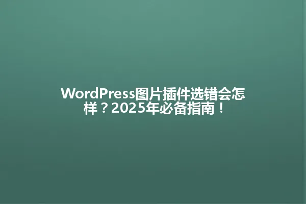 WordPress图片插件选错会怎样?2025年必备指南! 一