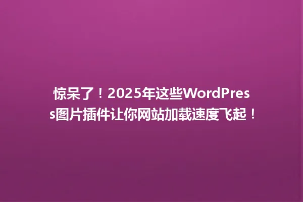 惊呆了!2025年这些WordPress图片插件让你网站加载速度飞起! 一