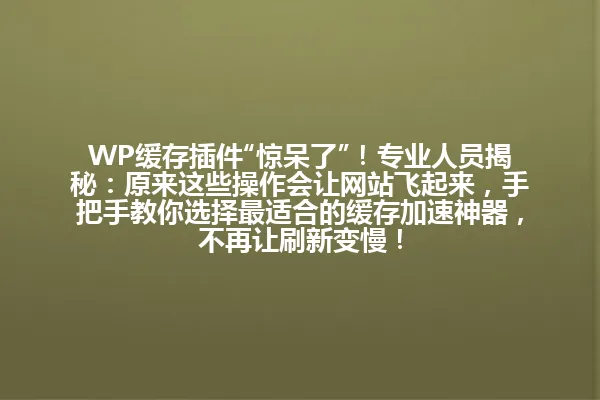 WP缓存插件“惊呆了”!专业人员揭秘:原来这些操作会让网站飞起来,手把手教你选择最适合的缓存加速神器,不再让刷新变慢! 一