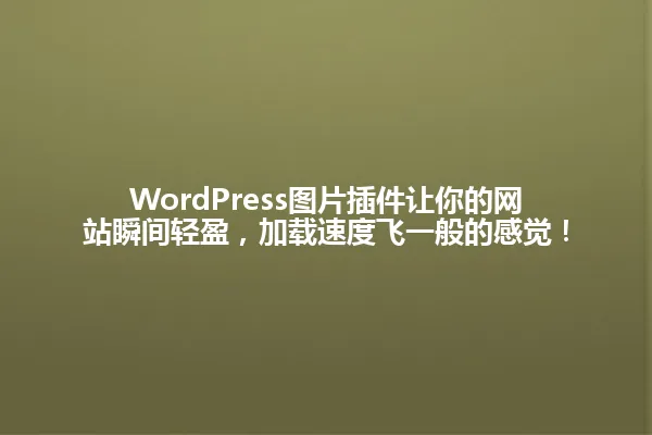 WordPress图片插件让你的网站瞬间轻盈,加载速度飞一般的感觉! 一