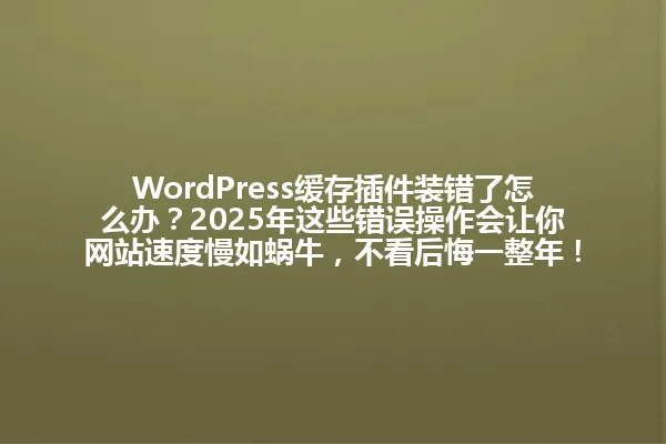 WordPress缓存插件装错了怎么办?2025年这些错误操作会让你网站速度慢如蜗牛,不看后悔一整年! 一