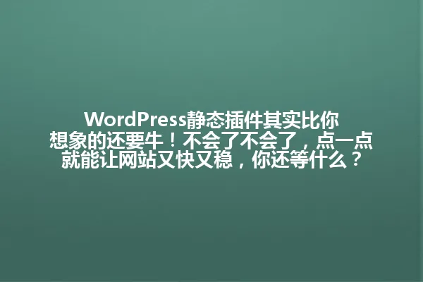 WordPress静态插件其实比你想象的还要牛！不会了不会了，点一点就能让网站又快又稳，你还等什么？ 一