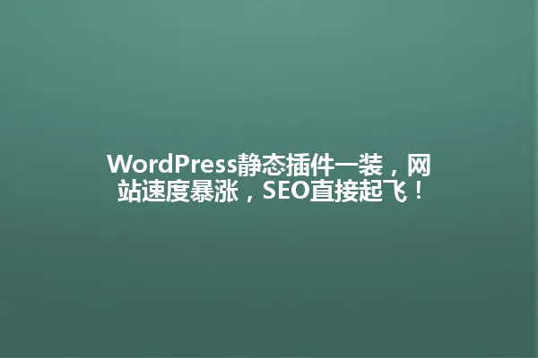 WordPress静态插件一装,网站速度暴涨,SEO直接起飞! 一