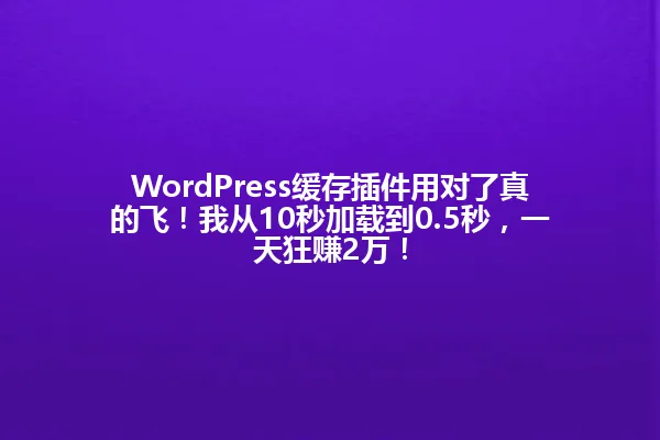 WordPress缓存插件用对了真的飞!我从10秒加载到0.5秒,一天狂赚2万! 一