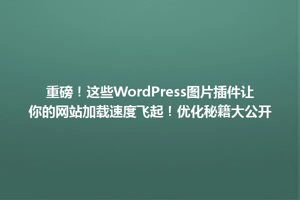 重磅!这些WordPress图片插件让你的网站加载速度飞起!优化秘籍大公开 一