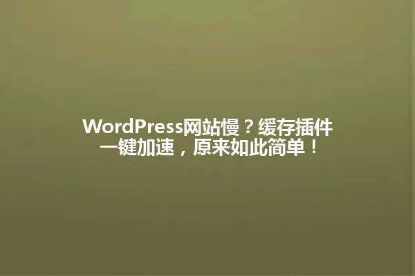 WordPress网站慢?缓存插件一键加速,原来如此简单! 一
